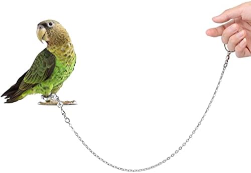 elegantstunning Kakadu Láb Gyűrű Multi-Size Bokalánc a Zár Fogás Lánc Papagáj Szabadtéri Séta Repülő Tartozékok 5. Sz.